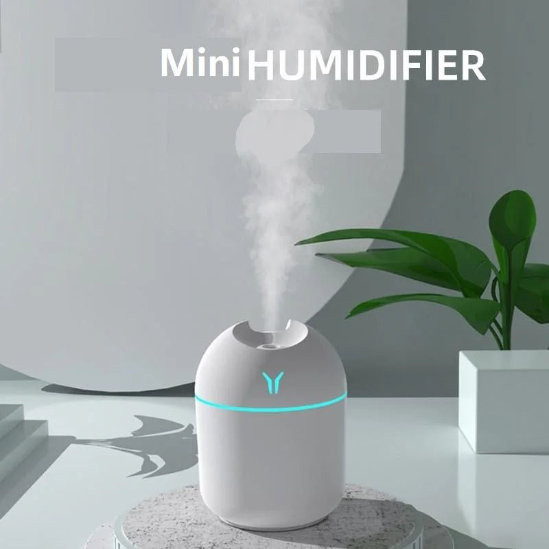 250ML USB Mini Air Humidifier Aroma Essential Oil Diffuser For Home Car Ultrasonic Mute Mist Maker Diffuser with LED Color Lamp - Friendly Smart Shopping