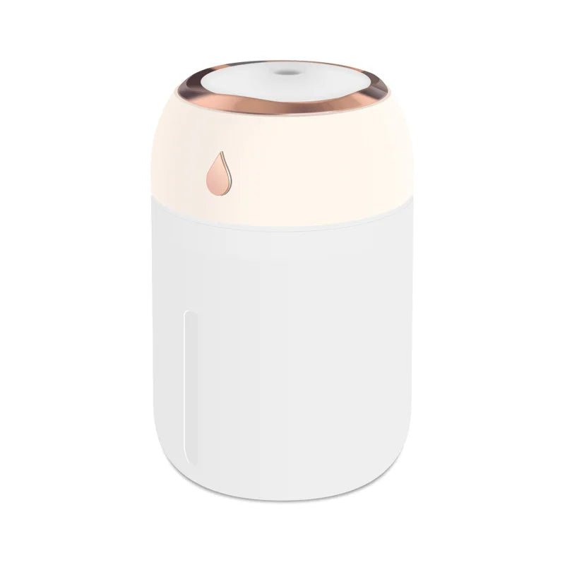 Portable Mini USB Air Humidifier Aroma Diffuser LED Cool Light 330ml Mist for Room Home Car Plant Purifier - Friendly Smart Shopping